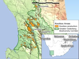 Cape_Map_3d_V2b-300×224